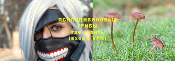 гидра Новодвинск