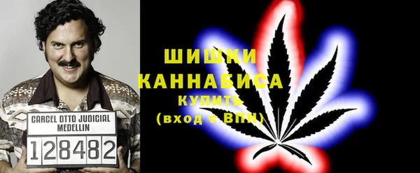 гидра Новодвинск