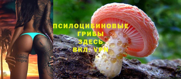 PSILOCYBIN Володарск