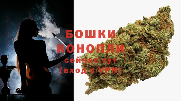 гидра Новодвинск