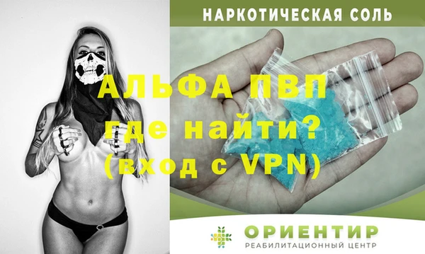 гидра Новодвинск