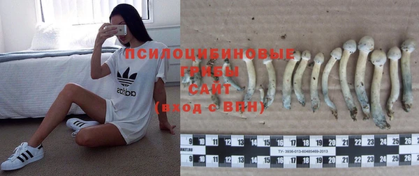 гидра Новодвинск