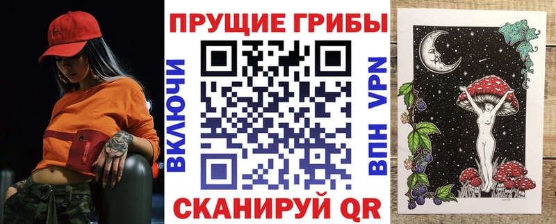 наркошоп  мега ССЫЛКА  Галлюциногенные грибы MAGIC MUSHROOMS  Заводоуковск 