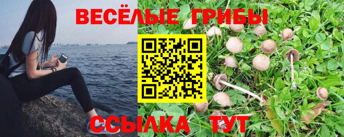 Псилоцибиновые грибы мицелий  Вход с VPN  Заводоуковск  Псилоцибиновые грибы Magic Shrooms 